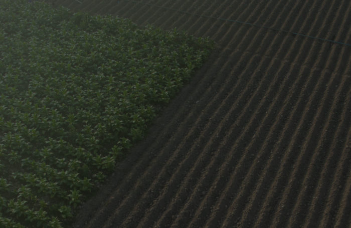 FEATURED POST Foreign Interests in U.S. Agricultural Land